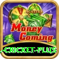 all cricket - Casino Master
