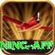 Bingo Patti - Gold Earning App