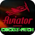 cricket pitch Casino Official v4.5.4