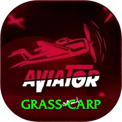 grass carp Casino Official v3.2.9 - 2