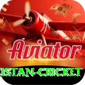 india pakistan cricket Bonus Prime v2.7.9