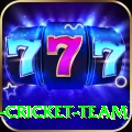 ireland cricket team - Legend Earning App